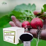 Seaweed Extract Powder - OMRI Listed Ascophyllum Bio Organic Alga Fertilizer