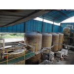 Rhizobium Japonicum - Bradyrhizobium Leguminous Crops Nitrogen Supplement