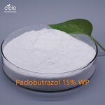 Paclobutrazol PP333 PBZ - 95% TC Plant Growth Regulator for Agriculture