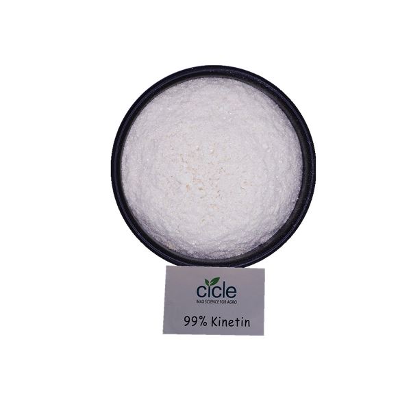 Kinetin Powder - 99% TC CAS 525-79-1 Plant Growth Promoter