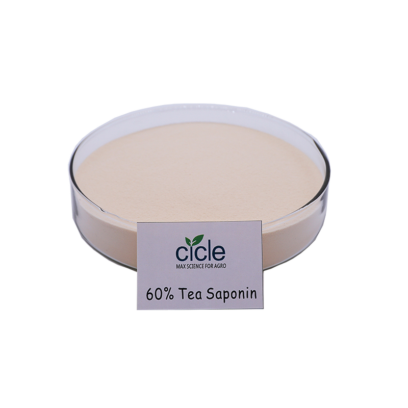 Tea Saponin Powder - 60% Plant Extract CAS 67-71-0 Turfgrass Fertilizer