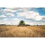 Urease Inhibitor NBPT - 97% CAS 94317-64-3 Save Fertilizer 30-40%