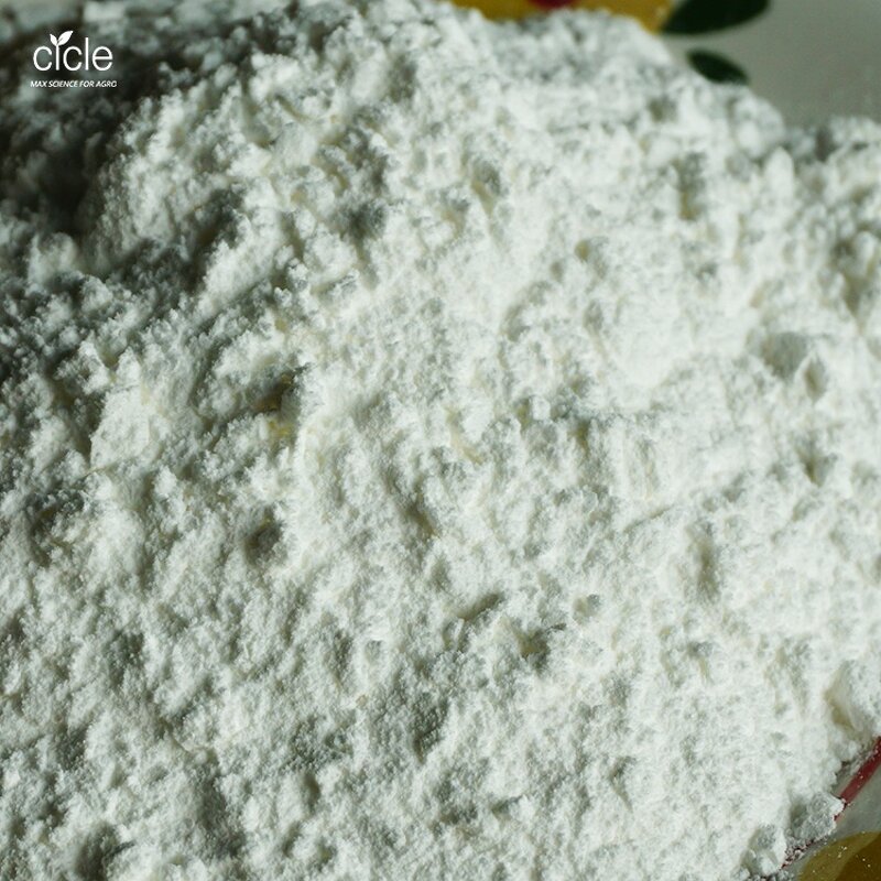 Bacillus Mucilaginosus BM - White Powder Solubilize Phosphorous Soil Organic Farming
