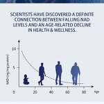 NAD Booster Capsules - Guangzhou Manufacturer Private Label Antioxidant Health