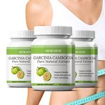 Garcinia Cambogia Capsules - Trace Element OEM ODM Chinese Herbal Extract