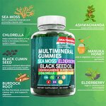 Multimineral Gummies - Cross-border Drunken Eggplant Adult Beauty 60 Count