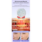 Professional Microcurrent Machine - 2025 Latest Anti Aging Face Lift Device