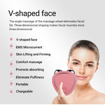 EMS Microcurrent Device - Customized Reduce Puffiness Face Lifting Rejuvenation Skincare Gift