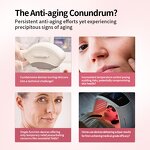 EMS RF Beauty Device Manufacturer - Mini Home Cool LED Photon Therapy Electroporation with AU US Plugs