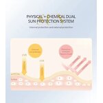 SPF 50 Sunscreen Cream - Hot Sale 48g Custom UV Protection Face Body Lotion