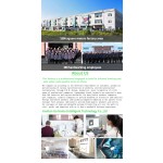 Gua Sha Tool Manufacturer - Natural Green White Rose Quartz Set