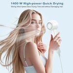 Ionic Hair Dryer - Manufacturer 600 Million Negative Ion BLDC Salon Dryer