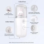 Nano Facial Mister - Wochuan OEM Cute Rabbit Moisturizing Steamer Mist Sprayer