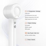 Ionic Hair Dryer - Manufacturer 600 Million Negative Ion BLDC Salon Dryer