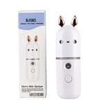 Nano Facial Sprayer - Portable USB Rechargeable Continuous Mist Sprayer for Lashes