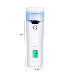 Nano Mist Sprayer - Power Bank Portable Car Nebulizer Mini Mist Sprayer
