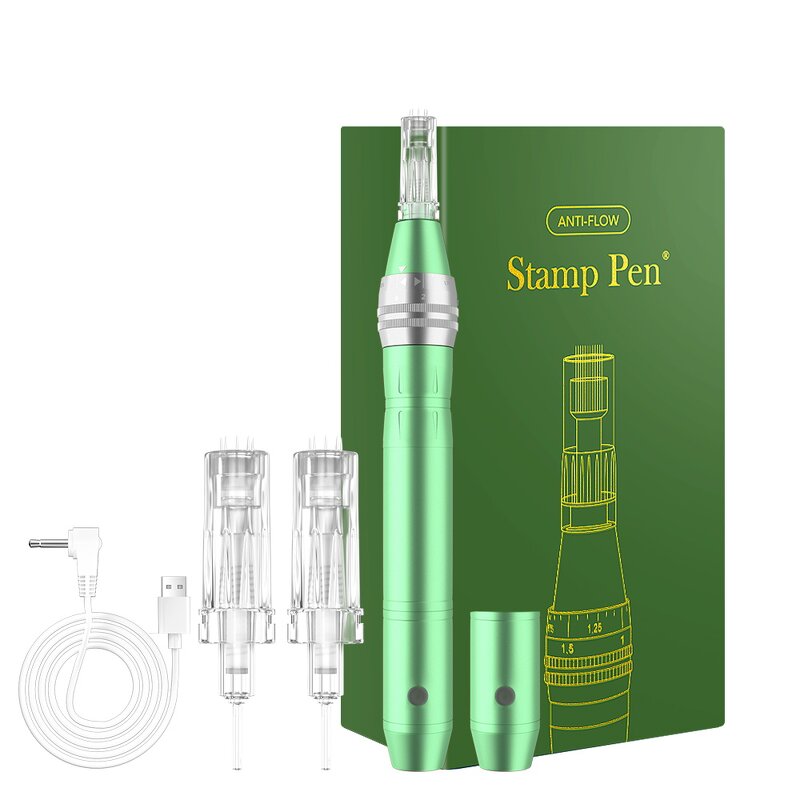 Dermapen Manufacturer - CE Approved Auto 2 Pcs Battery Anti-flow Microneedle Pen for Face Rejuvenation