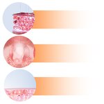 LED Light Therapy Machine Manufacturer - OEM Premium 7 Colors with PDT Infrared Belts for Muscle Pain