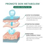 Derma Roller Set Manufacturer - 2in1 48 & 540 Titanium Needles for Hair Beard Regrowth 1.5mm Face Eye