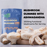 Mushroom Gummies - Vigo Custom Vegan Reishi Cordyceps Ashwagandha Lion's Mane