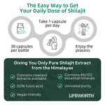 Shilajit Capsules - Vigo Acentiallabs Organic 60g Himalayan Immune Stamina