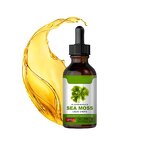 Sea Moss Drops - Vigo Private Label Black Bladderwrack Burdock Weight Loss