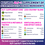 GLP-1 Diet Capsules - Vigo OEM Natural Plant Based Calorie Control Tool