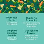 Organic Super Greens Powder - Vigo OEM Vegan Spirulina Chlorella Detox Smoothie