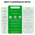 Wintergreen Caffeine Pouches - Vigo Nicotine Replacement Nootropic Focus Custom