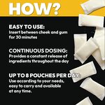 Wintergreen Caffeine Pouches - Vigo Nicotine Replacement Nootropic Focus Custom