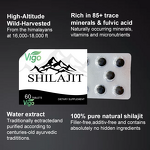 Shilajit Tablets - Vigo GMP Wholesale Pure Natural Himalayan Extract