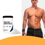 Creatine Monohydrate Powder - Vigo Micronized Pre Workout Muscle Builder Sport