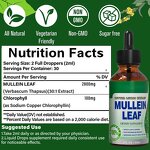Mullein Leaf Tincture - Vigo Lung Detox Vegan Sugar Alcohol-Free Liquid Drops