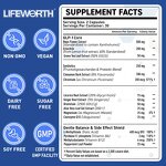 GLP-1 Supplement Patch - Vigo GMP New Healthcare Metabolic Appetite Support