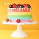 Blackcurrant Juice Powder Manufacturer - NOP & EU Organic