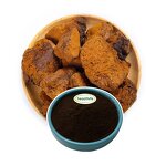 Chaga Mushroom Extract Manufacturer - 10%-50% Polysaccharides Natural