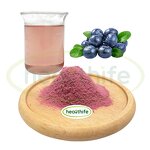 Blueberry Juice Powder Manufacturer - 100% Water Soluble Fruit