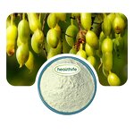 Sophora Japonica Extract Manufacturer - 98% Genistein Powder & USA Warehouse