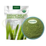 Barley Grass Powder Manufacturer - Organic Pure Green Juice Powder