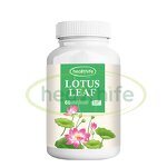 Lotus Leaf Capsule Manufacturer - 500mg/60caps Nuciferine Extract