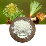 Taxifolin Powder Factory - Food Grade 90%-98% Dihydroquercetin