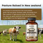 Beef Organ Capsules Manufacturer - New Zealand Grass Fed Visceral 500mg