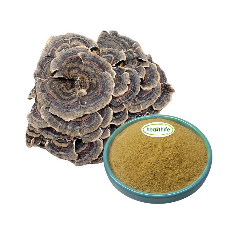 Turkey Tail Mushroom Powder - Coriolus Versicolor 80 Mesh Food Grade