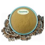 Turkey Tail Mushroom Powder - Coriolus Versicolor 80 Mesh Food Grade