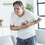 Sunflower Seed Extract Manufacturer - Food Grade 20% Lecithin Powder