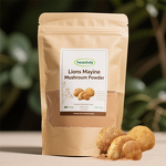 Lion's Mane Extract Manufacturer - 10%-50% Polysaccharides Hericium Erinaceus