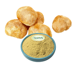 Lion's Mane Extract Manufacturer - 10%-50% Polysaccharides Hericium Erinaceus