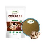 Oyster Mushroom Powder Factory - Pleurotus Ostreatus