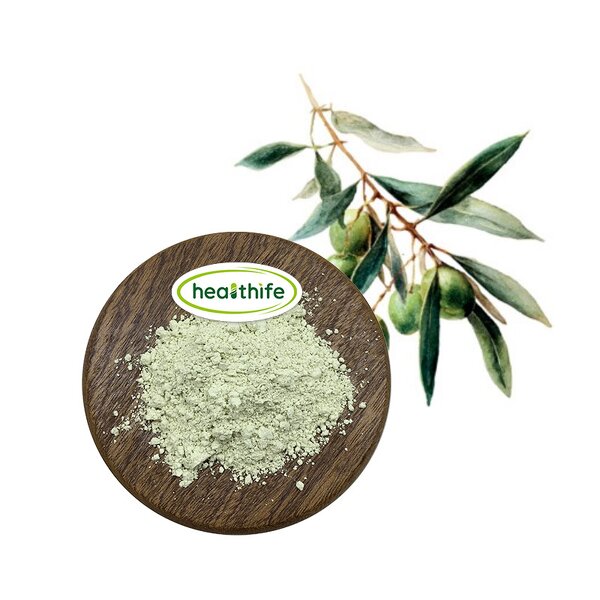 Olive Leaf Extract Manufacturer - Natural 10%-30% Maslinic Acid Powder