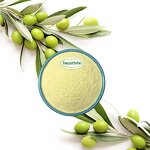 Olive Leaf Extract Factory - 70% 80% Oleuropein High Purity